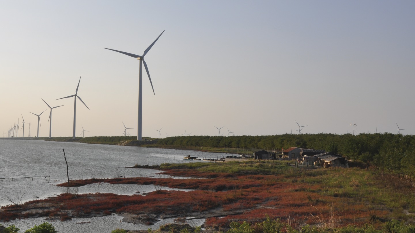 We are LM Wind Power - the leading rotor blade supplier to the wind  industry